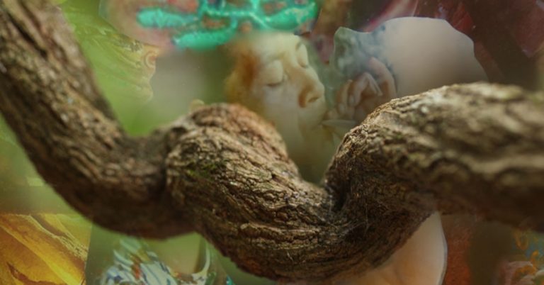 Mother Ayahuasca