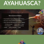 Ayahuasca Science