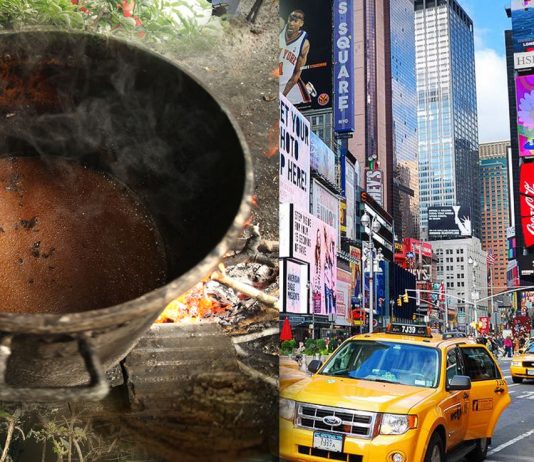 Is Ayahuasca an Antidote to Modern Life? ayahuasca culture jeremy narby