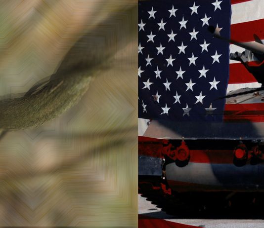 When I Drank Ayahuasca With American War Veterans ayahuasca veterans