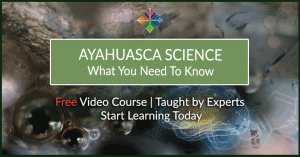 ayahuasca science