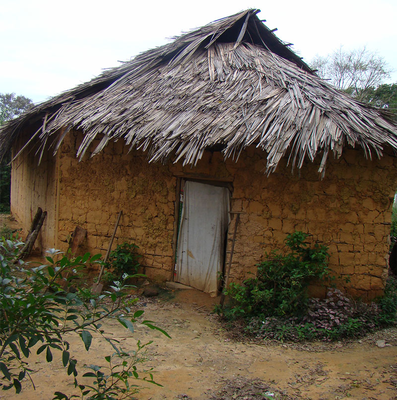 Ayahuasca ritual house