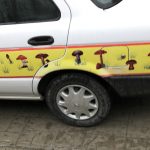 Huautla magic mushroom