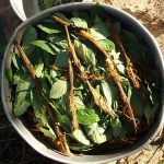 cooking ayahuasca