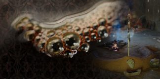 When I First Drank Ayahuasca with the Guarani Indians of Brazil ayahuasca Guarani Indians