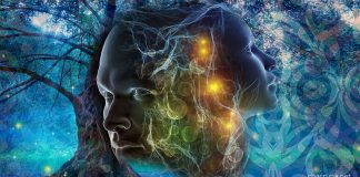 7 Ways To Cultivate Your Ayahuasca Experience preparing for ayahuasca