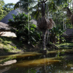 ayahuasca retreat