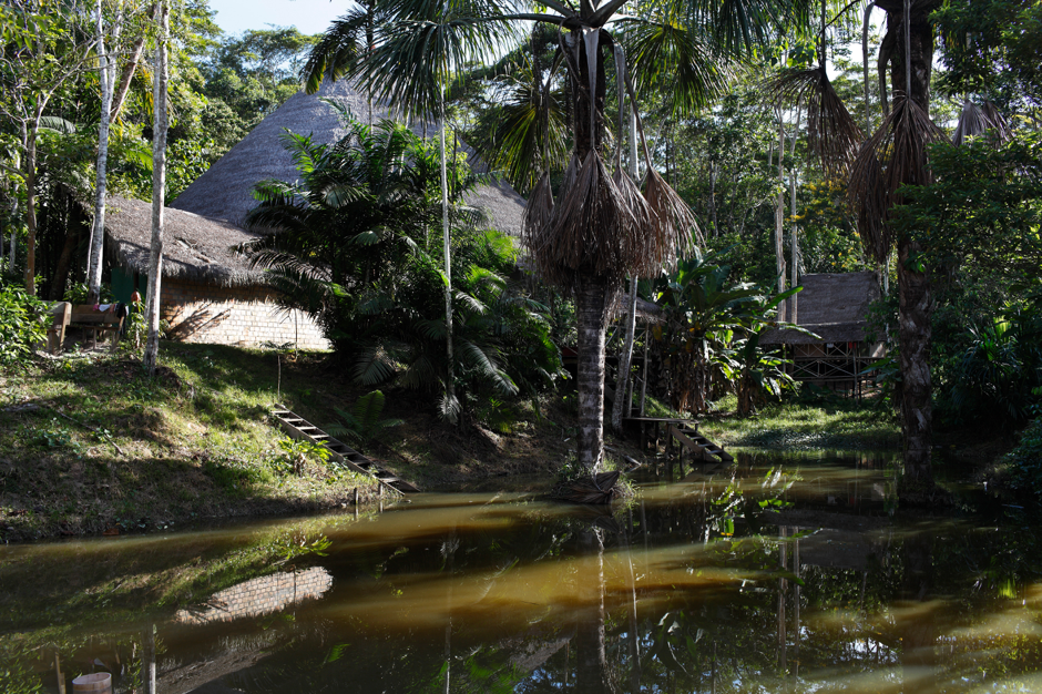 ayahuasca retreat