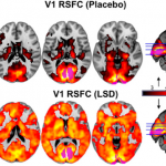 ayahuasca neuroscience