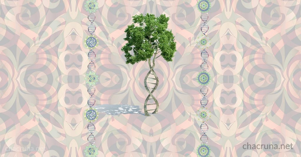 Psychedelic ayahuasca DNA