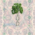 Psychedelic ayahuasca DNA