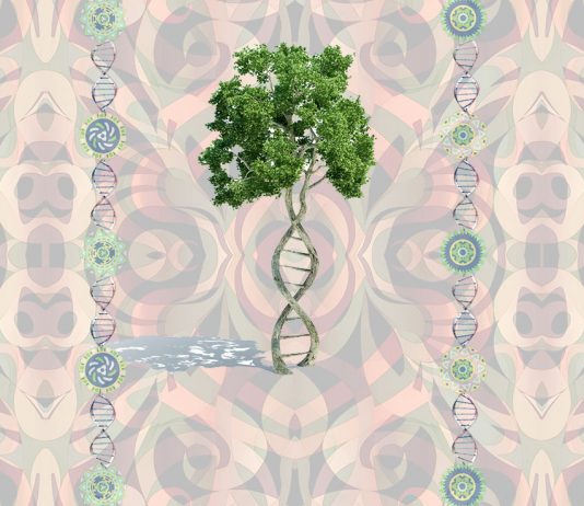 A Story of Visionary Ayahuasca Healing, DNA and Epigenetics Psychedelic ayahuasca DNA