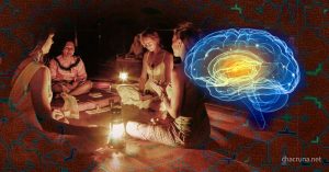 ayahuasca effects brain