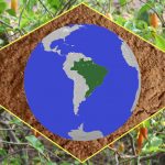 Ibogaine Treatment