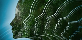 What I Learned Treating 400+ Patients with Ibogaine and Ayahuasca ibogaine ayahuasca treatment