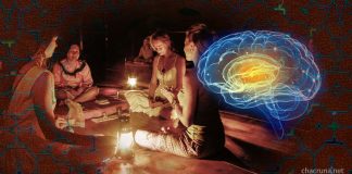 Ayahuasca in the Age of Neuroscience ayahuasca effects brain