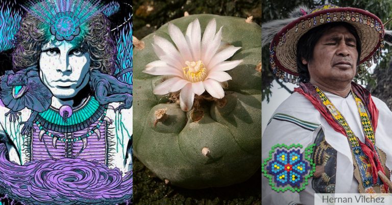 Peyote Culture