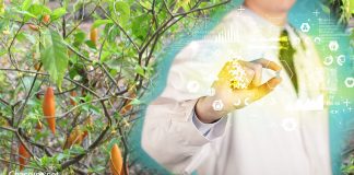 The Benefits, Risks & Potential of Mainstreaming Ibogaine Psychedelic Treatment Ibogaine treatment