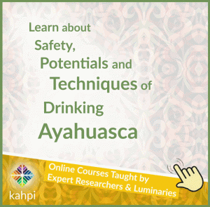 Ayahuasca Courses