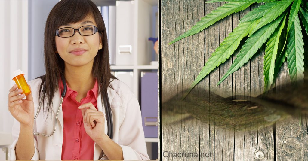 Plant Medicines