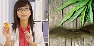 Why Doctors Give You Pills and Not Ancient Plant Remedies Plant Medicines