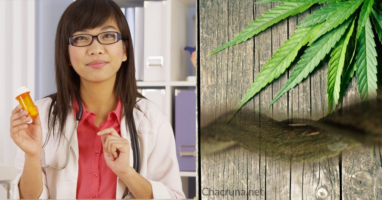 Plant Medicines