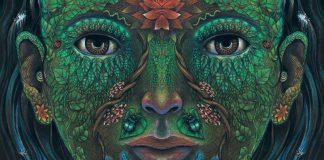 Are Psychedelic Hallucinations Actually Metaphorical Perceptions? psychedelic hallucinations