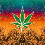 Psychedelic Legalization