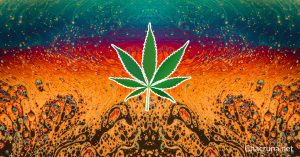 Psychedelic Legalization