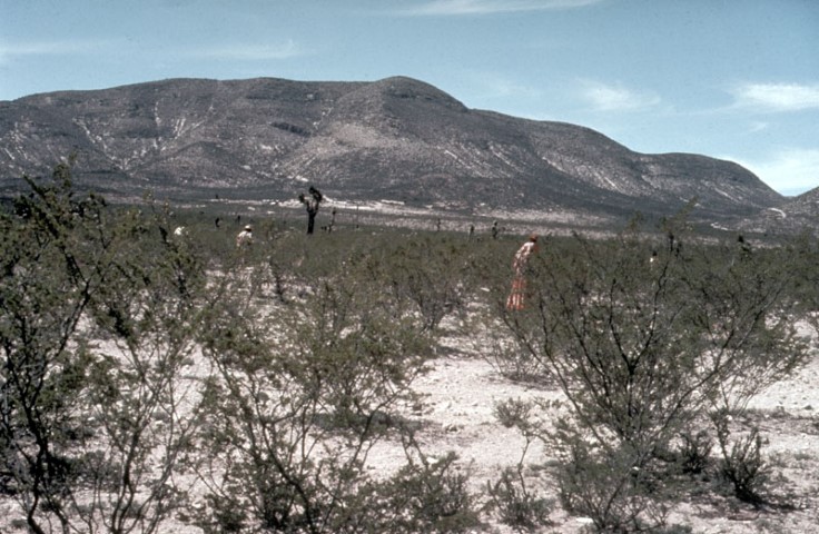 Wirikuta Huichols hunting peyote.