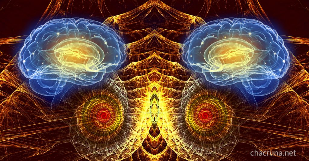 DMT Experience