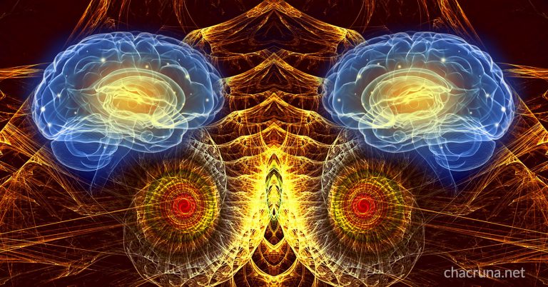 DMT Experience