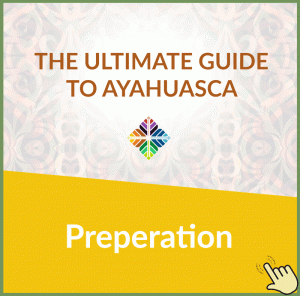 Ayahuasca Courses