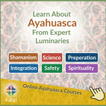 Ayahuasca Courses