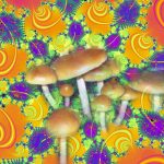 Psychedelic Mushrooms