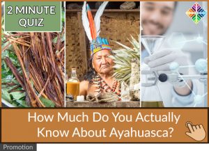 Ayahuasca Quiz