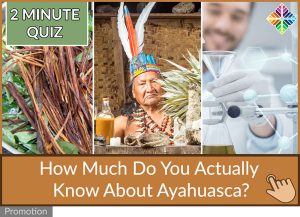 Ayahuasca Quiz