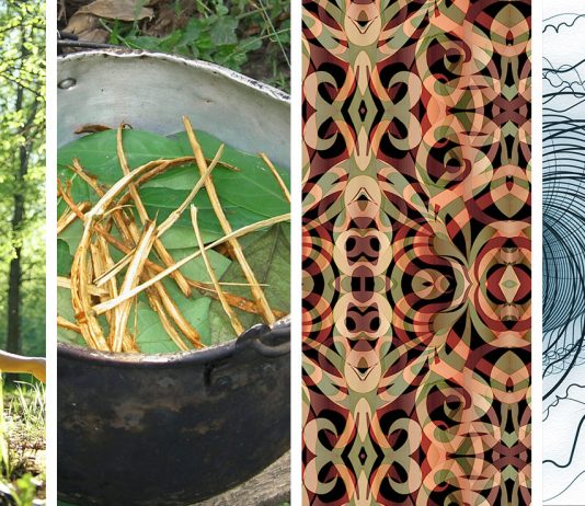 The Therapeutic Potential of Ayahuasca Ayahuasca Therapy