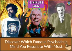 Psychedelic History