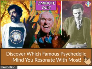 Psychedelic History