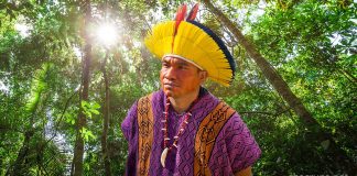 My Degree Is From The Forest ayahuasca shaman