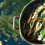 ayahuasca in europe