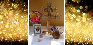 How Our Santo Daime Church Received Religious Exemption to Use Ayahuasca in Canada legal ayahuasca