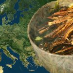 ayahuasca in Europe