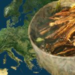 ayahuasca in Europe