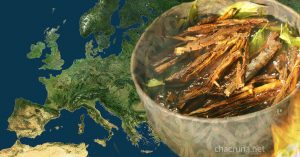 ayahuasca in Europe