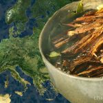ayahuasca in Europe
