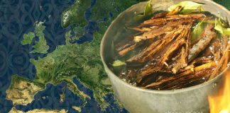 Ayahuasca in the Heart of Europe ayahuasca in Europe