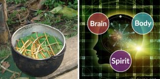 How the Amazonian Tea Ayahuasca Affects Mental Health ayahuasca mental health