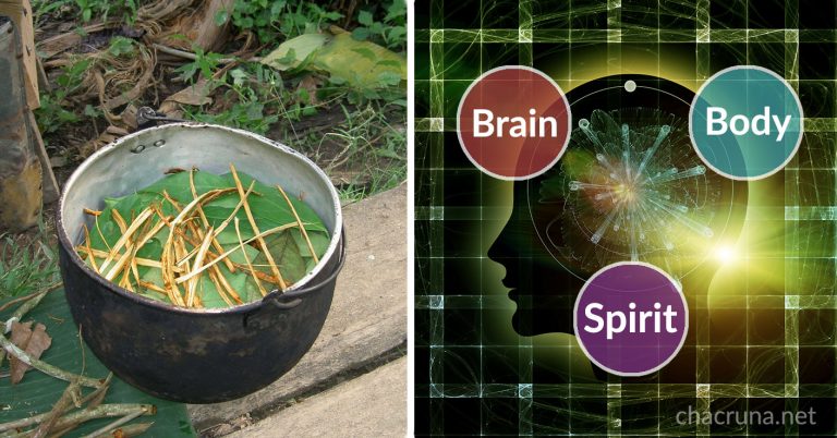 ayahuasca mental health
